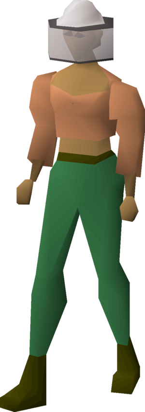 Beekeeper's hat equipped female.png
