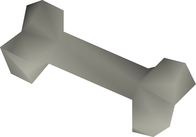 File:Rabbit bone detail.png