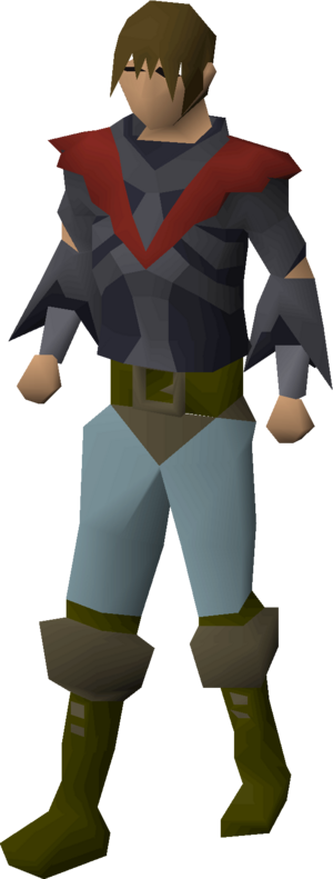 Robe top of ruin equipped male.png