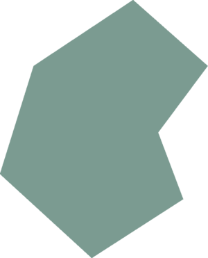 Blue butterfly wing detail.png