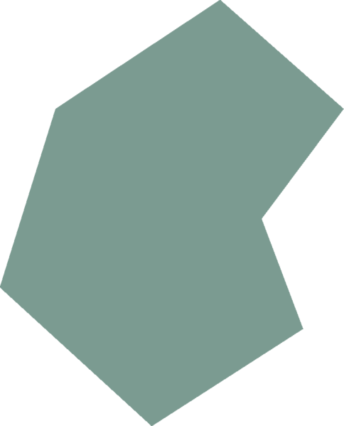 File:Blue butterfly wing detail.png