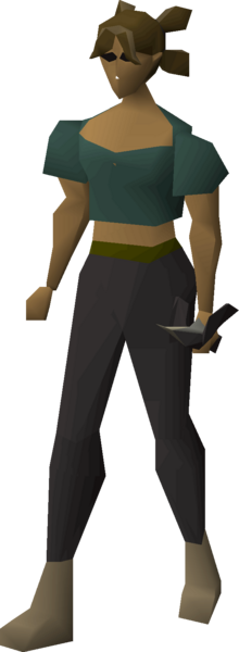 File:Avernic defender equipped female.png