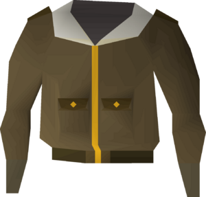 Bomber jacket detail.png