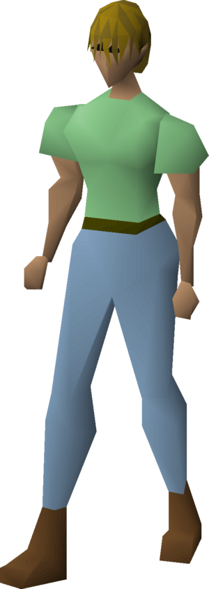 Bowl wig equipped female.png