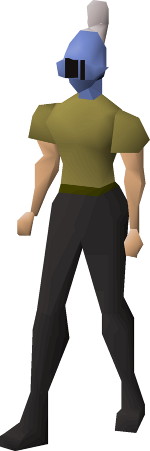 Rune heraldic helm (Asgarnia) equipped female.png