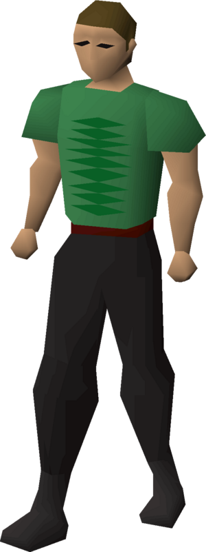 Dni23 torso stitching equipped male.png