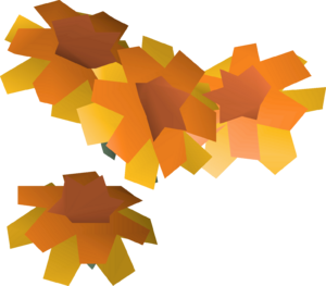 Marigolds detail.png