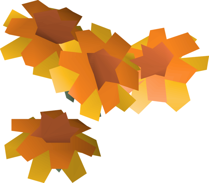 File:Marigolds detail.png