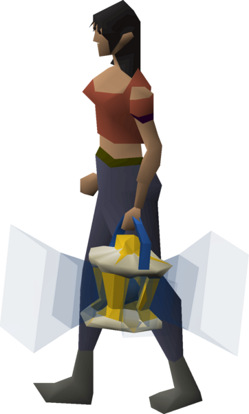 File:Hallowed focus equipped female.png