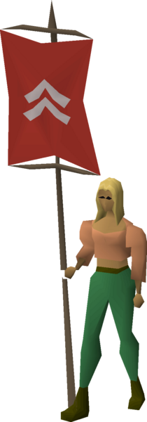 File:Banner (Kandarin) equipped female.png