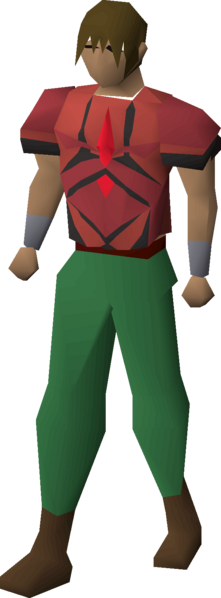 File:Graceful top (Shayzien) equipped male.png