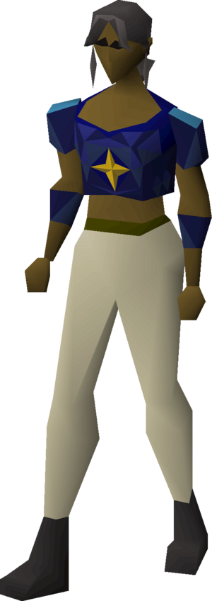 Saradomin d'hide body equipped female.png