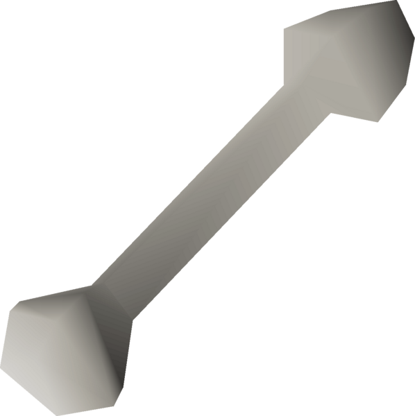 File:Giant rat bone (polished) detail.png