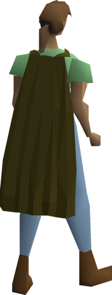 File:Fremennik brown cloak equipped female.png