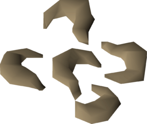 Nasturtium seed detail.png