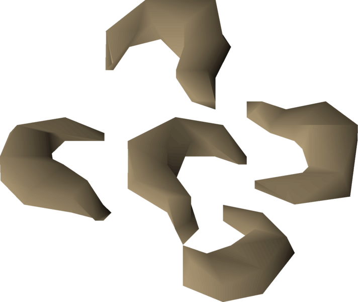 File:Nasturtium seed detail.png