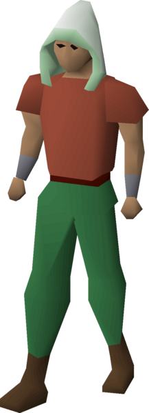 File:Achievement diary hood equipped.png