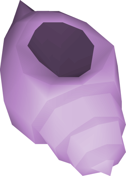 File:Conch shell detail.png