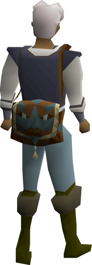 Extradimensional bag equipped.png