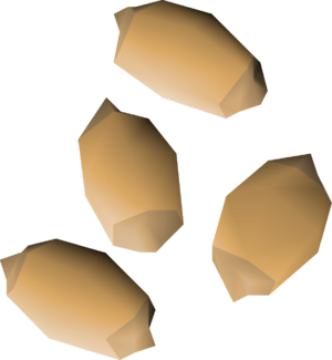 Palm tree seed 4 detail.png