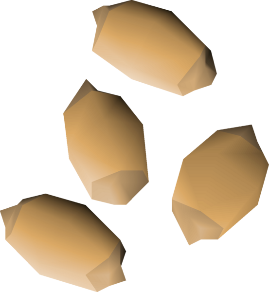 File:Palm tree seed 4 detail.png