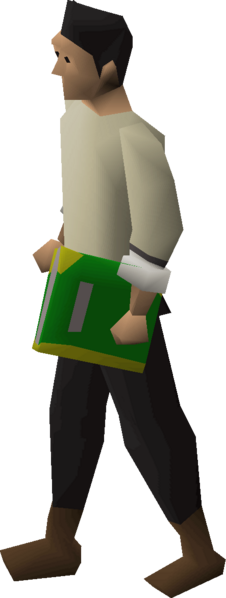 File:Book of balance equipped.png