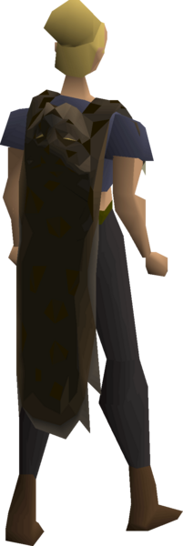 File:Mixed hide cape equipped female.png