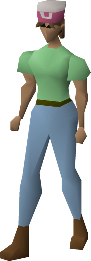 Villager hat (pink) equipped female.png