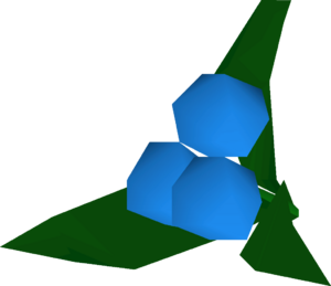 Dwellberries detail.png