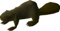 Thumbnail for version as of 13:45, 14 October 2024