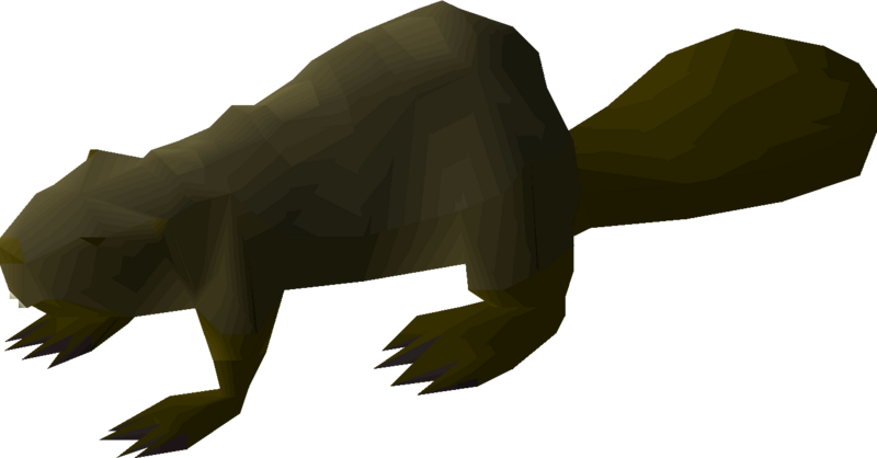 File:Beaver (willow) detail.png