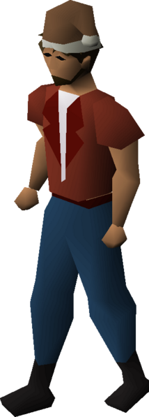 File:Brown santa hat equipped male.png