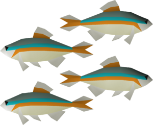 Minnow 4 (v1) detail.png
