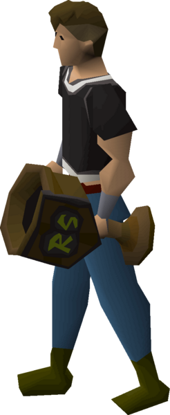 File:Twisted bronze trophy equipped.png