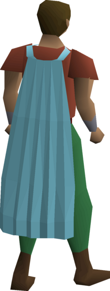 File:Fremennik cyan cloak equipped.png