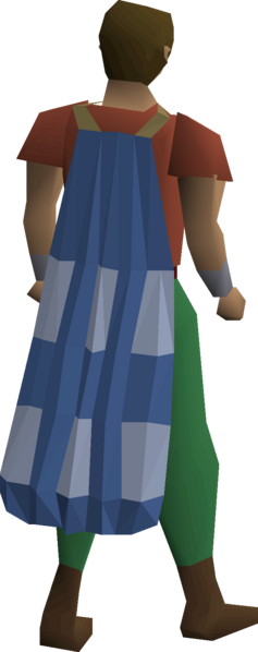 File:Team-24 cape equipped.png