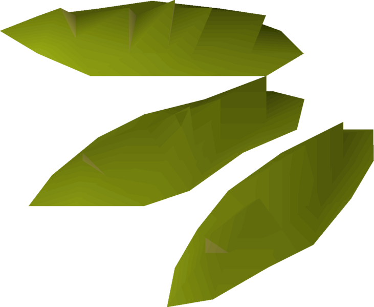 File:Willow seed 3 detail.png