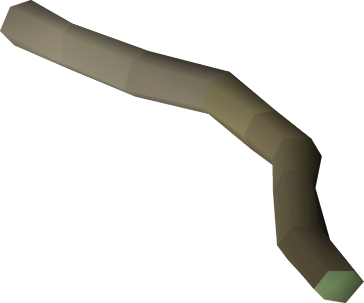 File:Celastrus bark detail.png