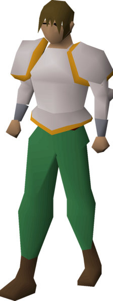 File:Proselyte hauberk equipped male.png