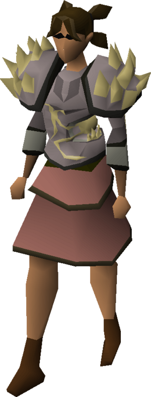Slayer chestplate (i) equipped female.png