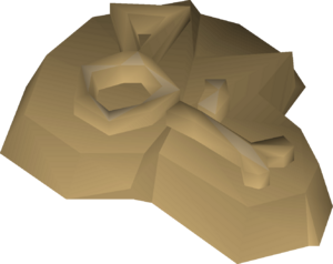 Unidentified small fossil detail.png