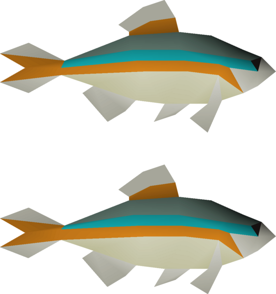 File:Minnow 2 (v1) detail.png