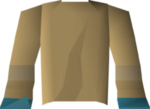 Torn robe (top) detail.png