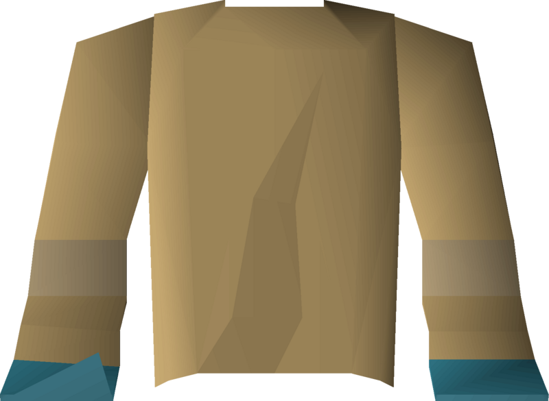 File:Torn robe (top) detail.png