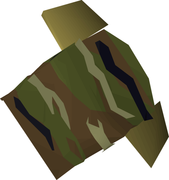 File:Camo top (unobtainable item) detail.png