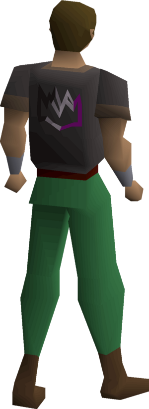 Colourful crown shirt (asexual) equipped male.png