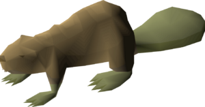 Beaver (teak) detail.png