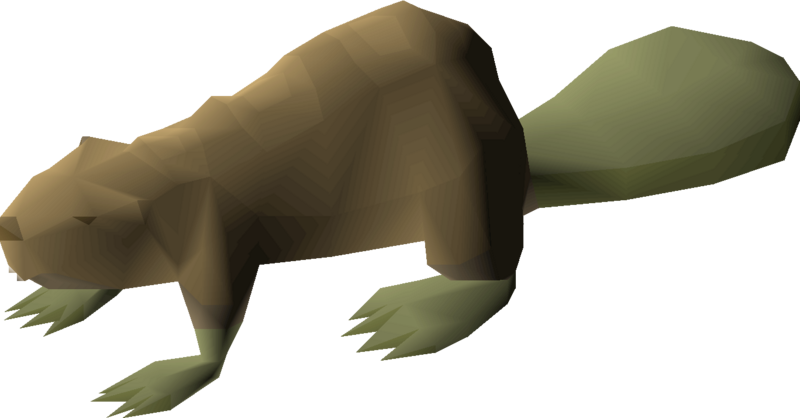 File:Beaver (teak) detail.png