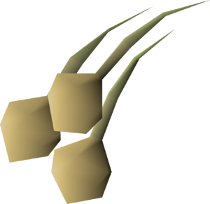 Onion seed 3 detail.png