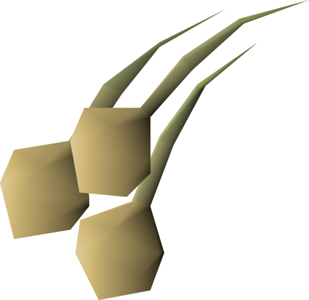 File:Onion seed 3 detail.png